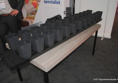 BATO heeft een compleet nieuw teeltsysteem voor Frambozen en zachtfruit. Op een goot, zodat de potten van de grond staan en zo licht krijgen vanaf onder en de wortels daarmee in de pot blijven.